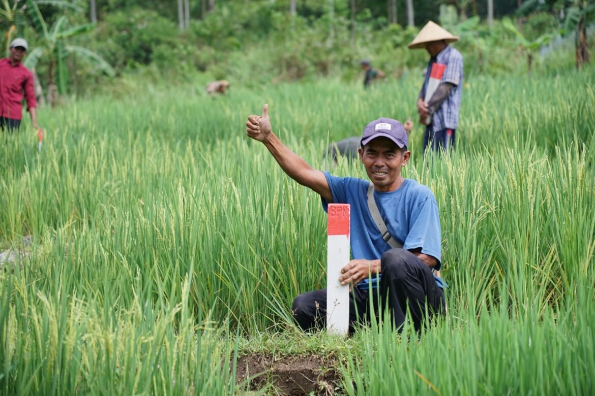 Simak Tips untuk Menjaga Tanah agar Tidak Diserobot Orang Lain